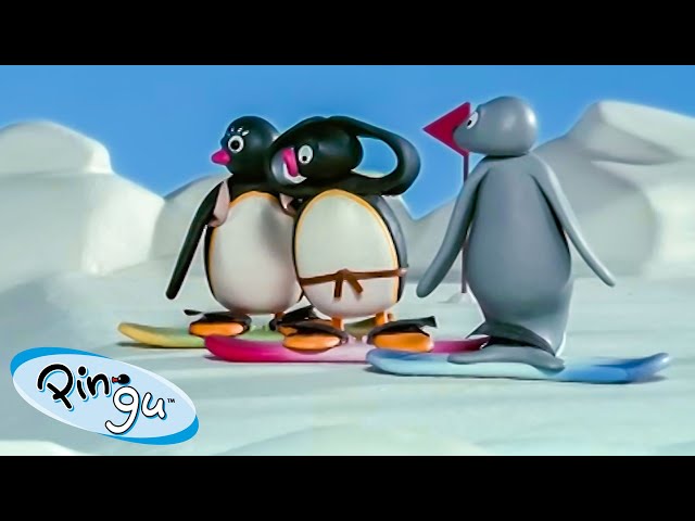 Pingu Has Fun with his Friends! 🐧 | Pingu - Official Channel | Cartoons For Kids