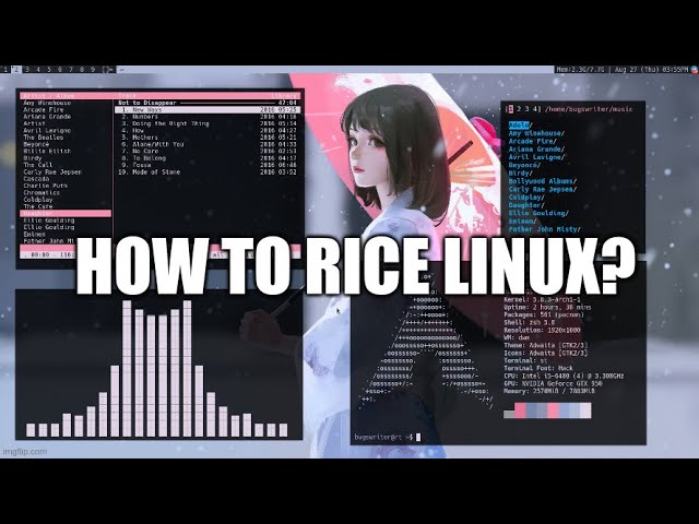 Linux Ricing Crash Course (minimal, simple yet pretty rice for newbies)