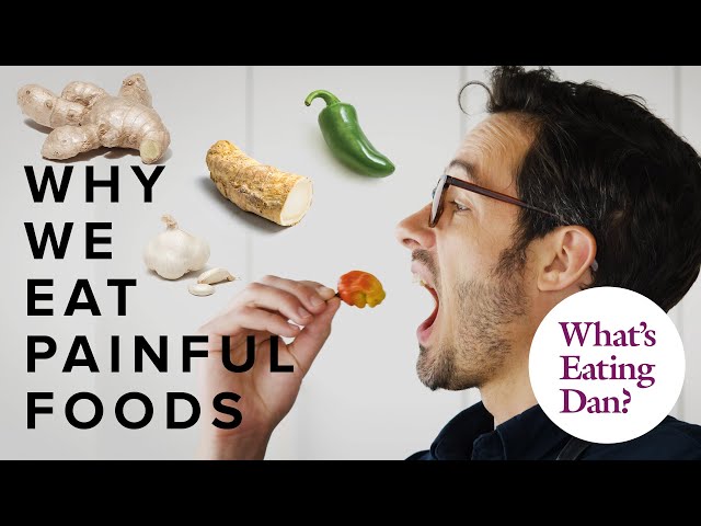 Why Do We Eat (and Enjoy) Painfully Spicy Foods? | What’s Eating Dan