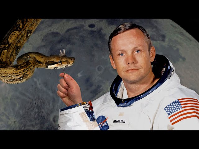 Why astronauts ate snakes