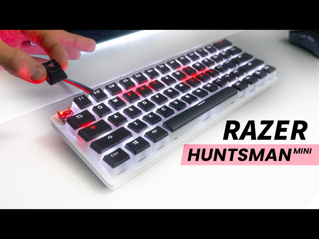 RAZER Gaming Keyboard + SHINE-THROUGH Keycaps