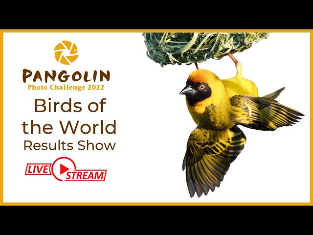 Birds of the World Results Show 2022