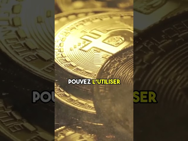 😱 Bitcoin = Nouvelle Monnaie Mondiale (Pompliano Interview)
