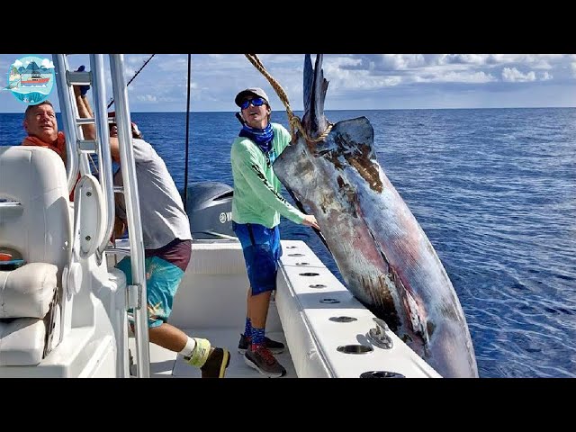 Amazing Fastest Giant Bluefin Tuna Fishing Skills - Biggest Tuna Fishing in the Sea