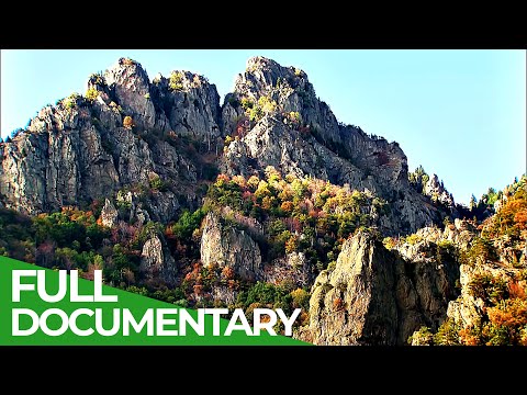 Wild Carpathia | Episode 2: From the Mountains to the Sea | Free Documentary Nature