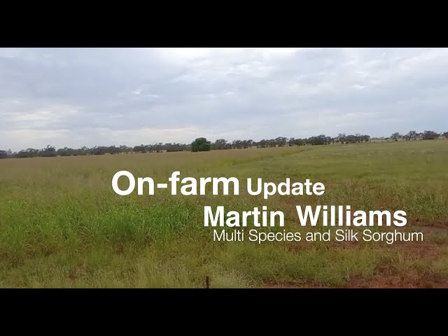 On-farm multi species with Martin Williams - Regenerative Farming a Farming Revolution Australia.