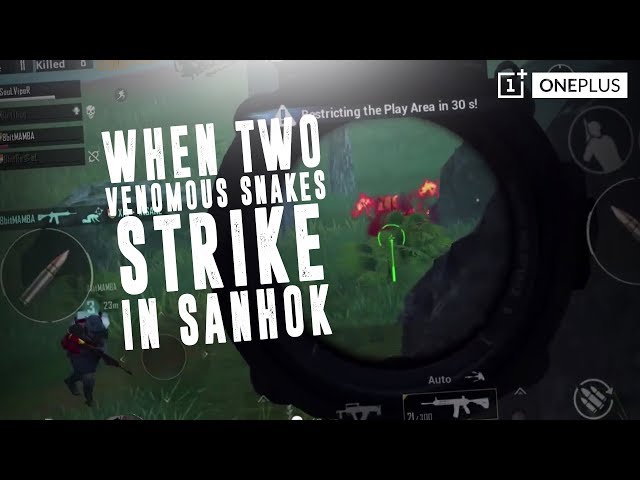 When 2 Venomous Snakes Strike in Sanhok! VipeR + Mamba Deadly Duo | PUBG Mobile |Powered by  OnePlus
