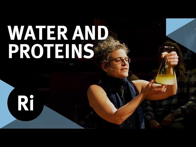 The Physics of Life: How Water Folds Proteins - with Sylvia McLain