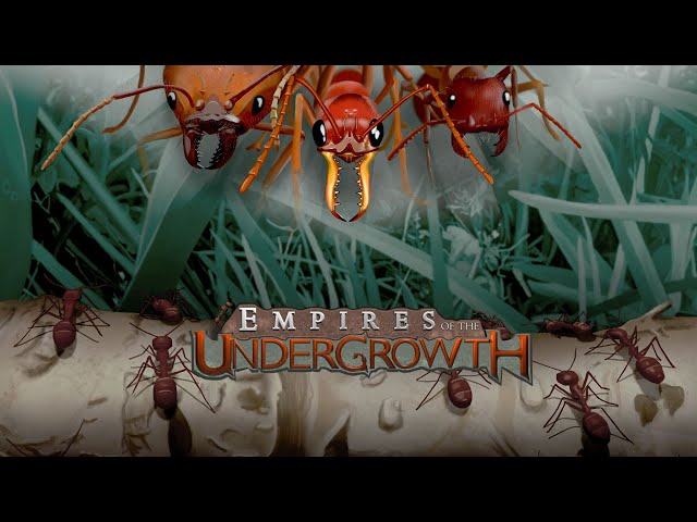 Empires of the Undergrowth and a live review of a coop FPS.