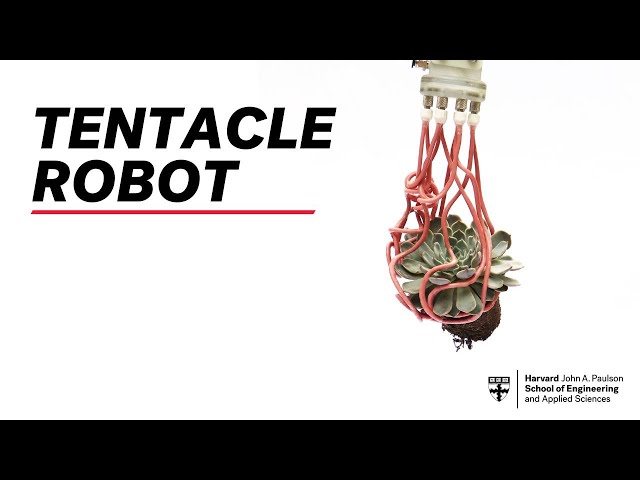 Tentacle robot can gently grasp fragile objects