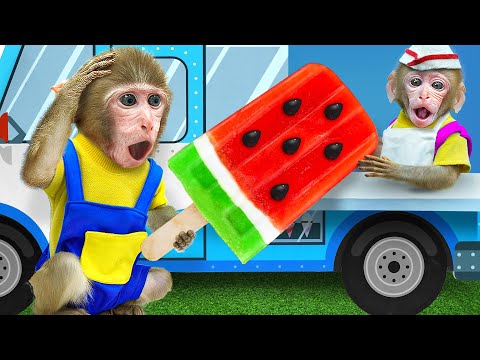 Baby Monkey Videos