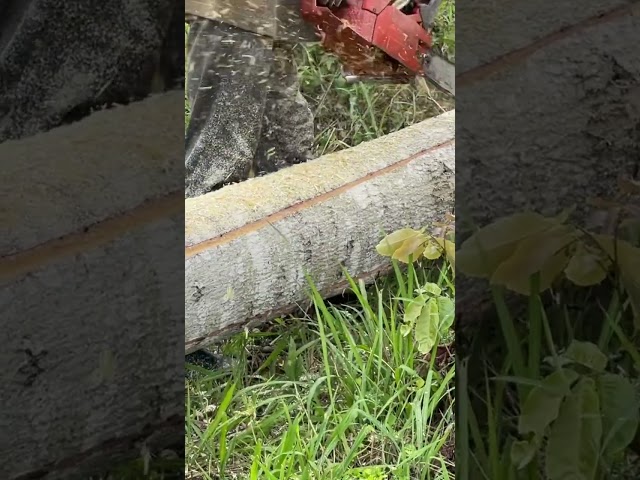 How to cut Timbers from a big Wood