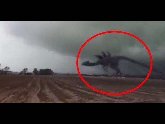 Top 10 Mysterious Giant Monster Creatures Caught on Tape