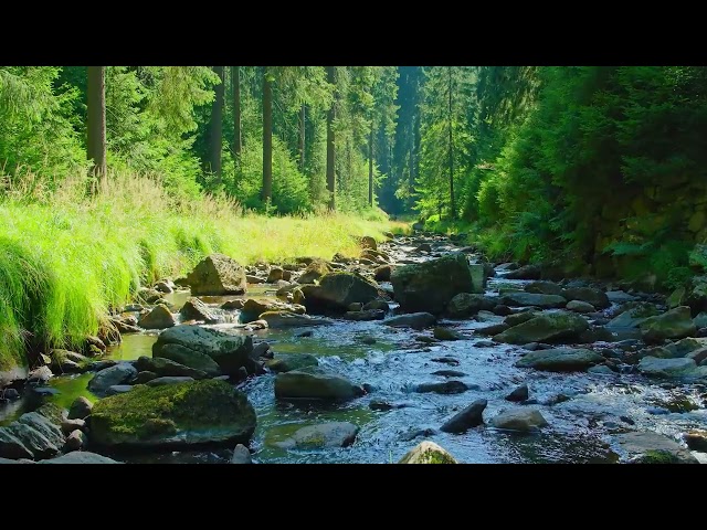 Peaceful River Flowing Sound. Gentle River, Relaxing Nature Sounds. Relax/ Sleep/Meditation/Healing