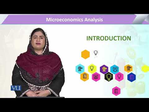 ECO614 | Microeconomic Analysis
