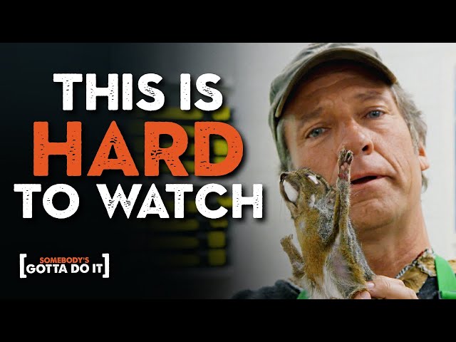 Mike Rowe Goes Behind the Scenes of Animal Exhibits | Mammal Prep | Somebody's Gotta Do It