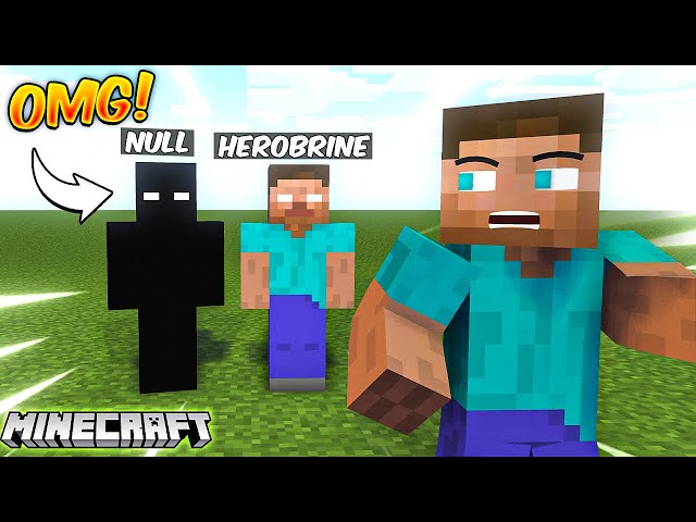 I met NULL and HEROBRINE in Minecraft and this happened...