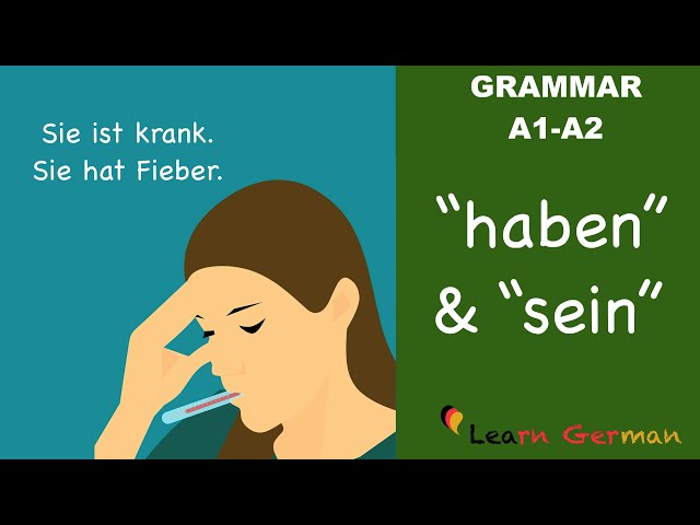 Learn German | German Grammar |  haben und sein als Vollverb | A1