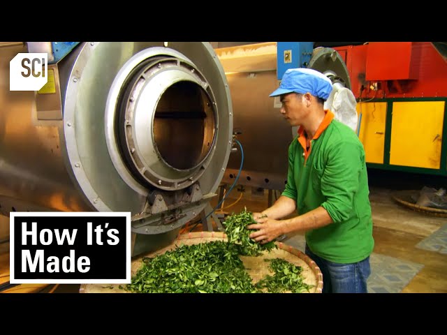 How Oolong Tea is Made! | How It's Made | Science Channel