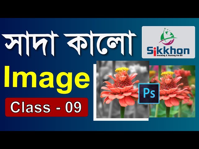 09 -  Quick Selection Tool: Black and White Background in Photoshop | Bangla Tutorial | Sikkhon