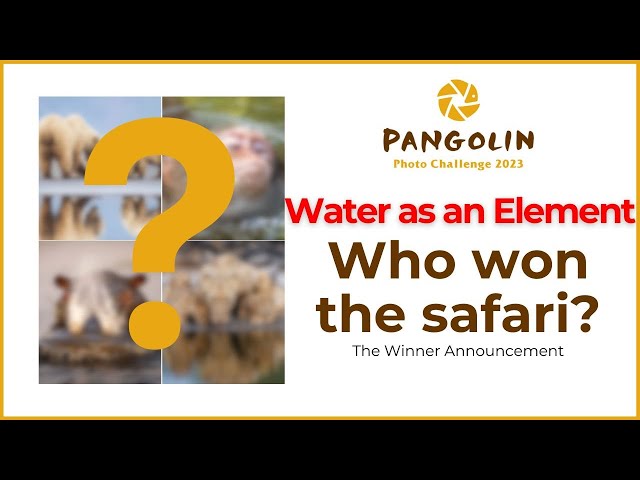 Water as an Element Winners Show | Pangolin Photo Challenge