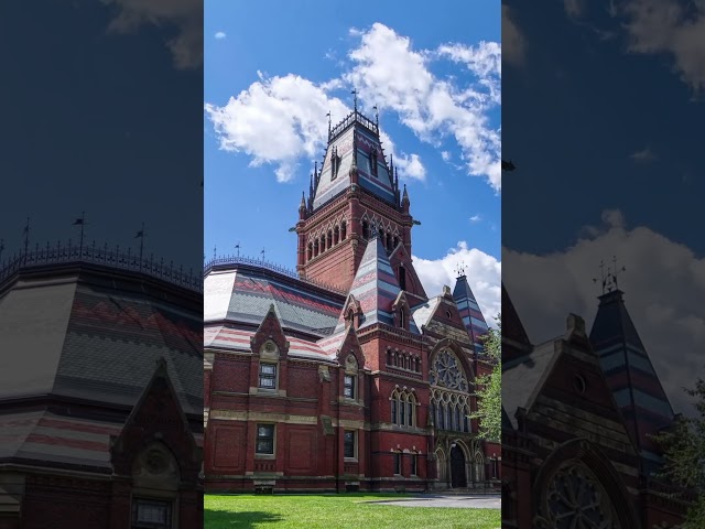 Summer vibes at Harvard ☀️ #summer #Boston #cambridge
