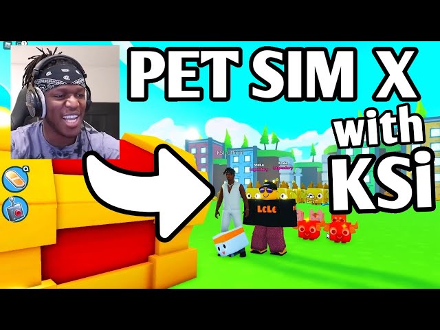 PLAYING with KSI in Pet Simulator X (ROBLOX)