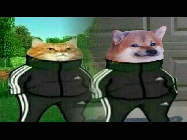 Memes That Have Been Visited By Slav Doge