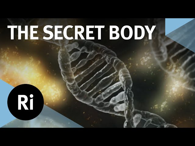 What Are the New Discoveries in Human Biology? - with Dan Davis