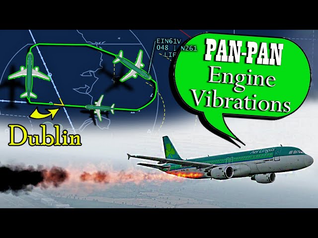 Aer Lingus A320 has BIRD STRIKE AFTER TAKEOFF | Engine Flame-Out