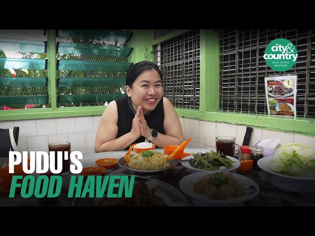Pudu's Food Haven