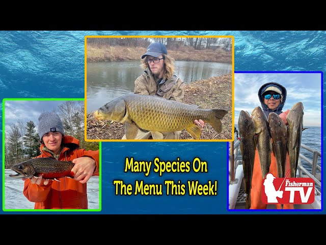 February 23, 2023  New England Video Fishing Forecast with Dave Anderson