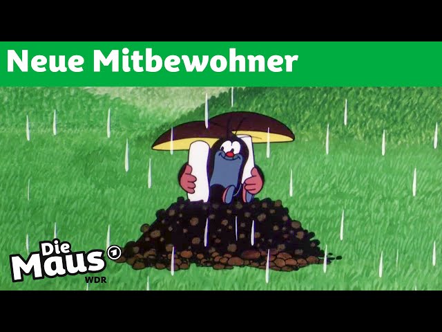 Pilze | Der kleine Maulwurf | DieMaus | WDR