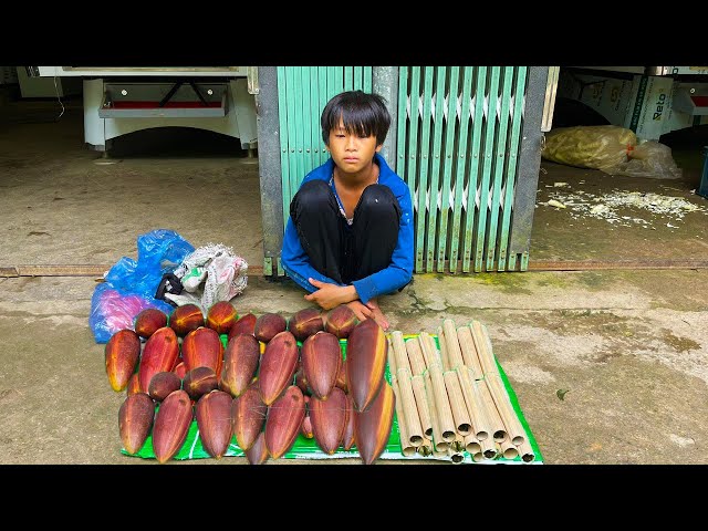 Orphan Boy - diy Bamboo Rice and Picking Banana Flowers for Sale #farming #boy #diy