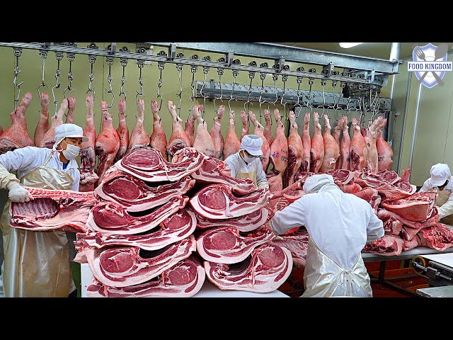 Butcher 100 pigs a day! Korea Dry Aging Pork Production Plant