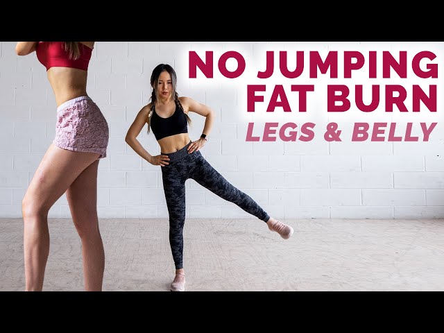 Full Body No Jumping Workout To Burn Fat | Burn Thigh Fat Low Impact Cardio