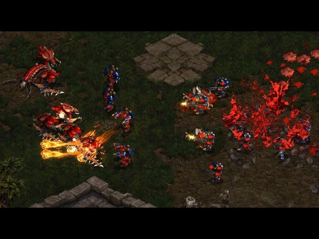 Ample! 🇰🇷 (T) Shine! 🇰🇷 (Z) on Apocalypse - StarCraft - Brood War Remastered
