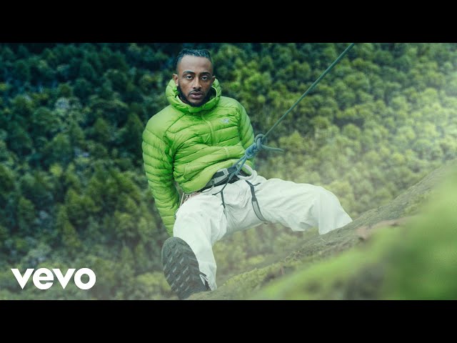 Aminé - Shimmy (Official Video)