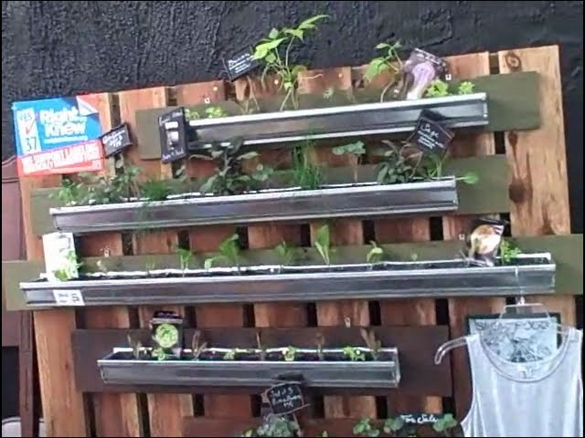 Vertical Gardening in Rain Gutters So You Can Grow Food Anywhere