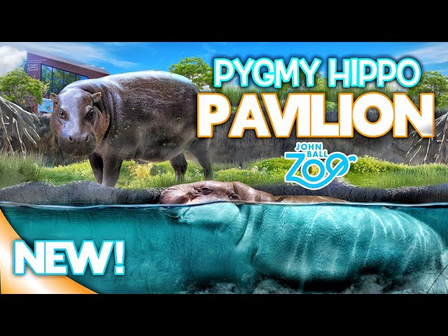 Zoo Tours: NEW! Pygmy Hippo Pavilion | John Ball Zoo