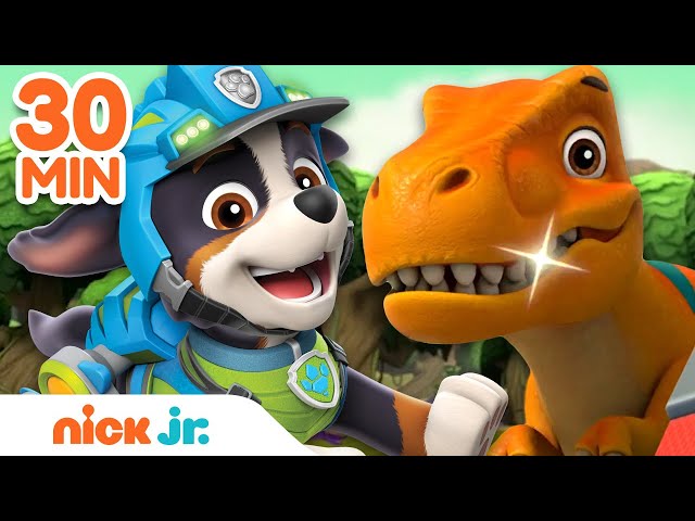 Rex's BEST Dinosaur Rescues 🦖 PAW Patrol! | 30 Minute Compilation | Nick Jr.