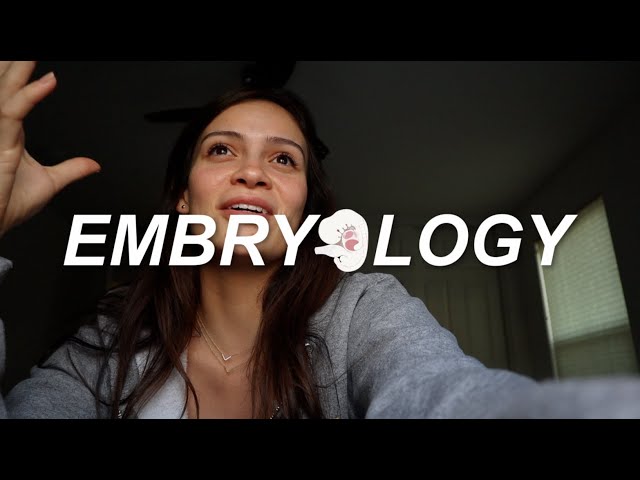 EMBRYOLOGY IS BEAUTIFUL | Rachel Southard