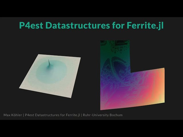 Implementation of P4est Datastructures Tailored for Ferrite.jl | Maximilian Köhler | FerriteCon 2023