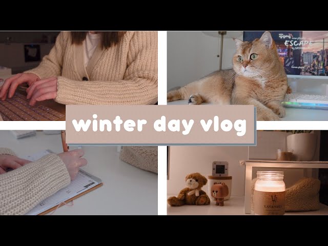 winter day vlog || cozy study with me, ice skating