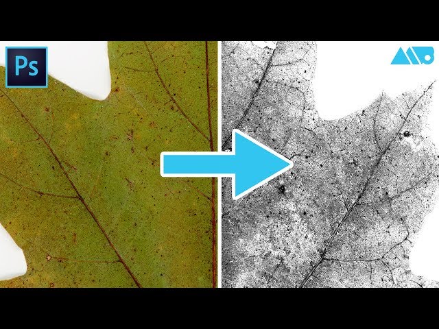 How to Turn Photos into Textures inside Adobe Photoshop Tutorial