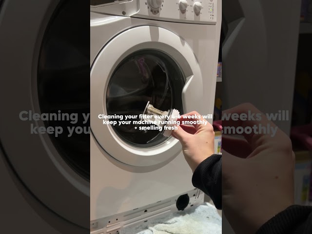 How often should you clean your washing machine filter? 🧺