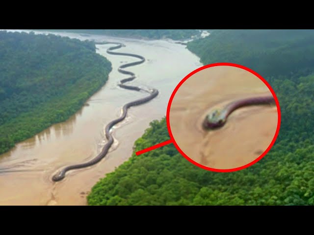 Explorers Found Something Terrifying In Amazon Rain forest