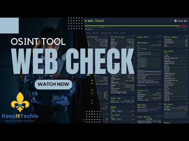 Unleash Your Cyber Investigation Powers: Master Web Check's OSINT Capabilities!