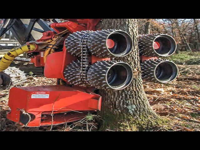 Amazing Fastest Huge Tree Harvest & Removal Machines Working, Incredible Tree Cutting Equipment