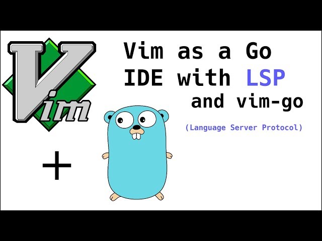Vim as a Go (Golang) IDE using LSP and vim-go